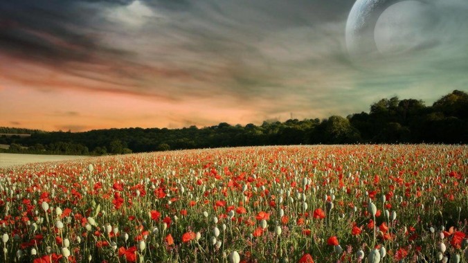 你在出租房屋发现过什么前租客留下的“宝藏”?